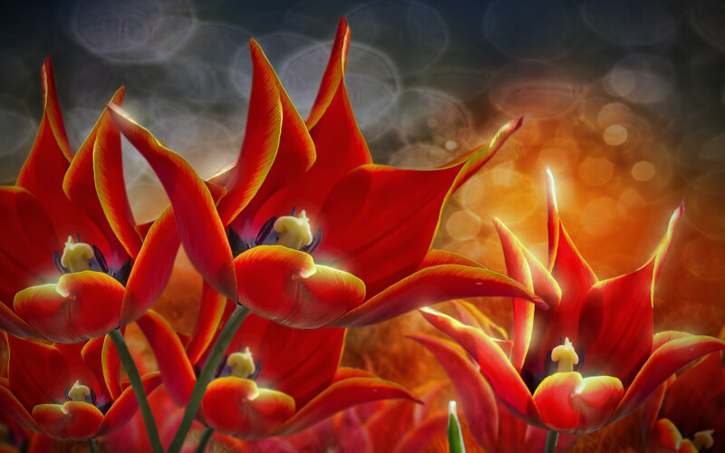 Painting 0871