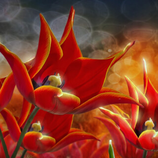 Painting_0871