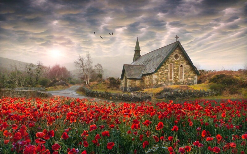 Painting 0953