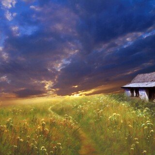 Painting_1072