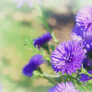Couple_0062