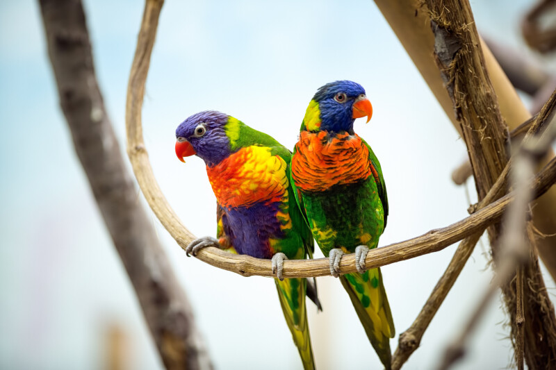 Couple_0087.jpg