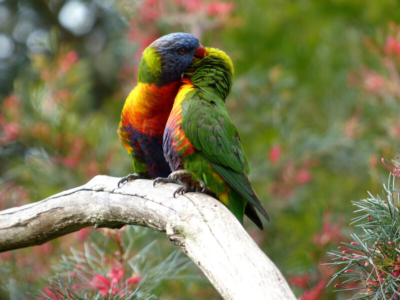 Couple_0152.jpg