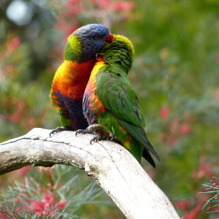 Couple_0152