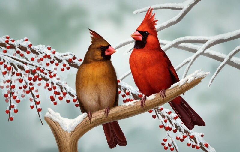 Couple_0233.jpg