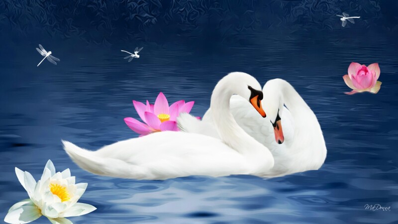 Couple_0270.jpg