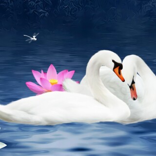 Couple_0270