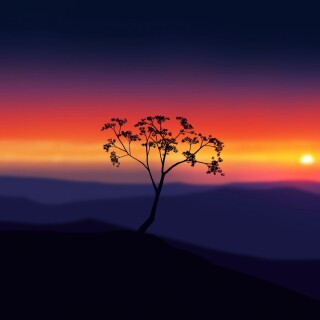 Digital-Art_0240