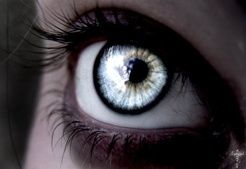 Eye_0013.jpg