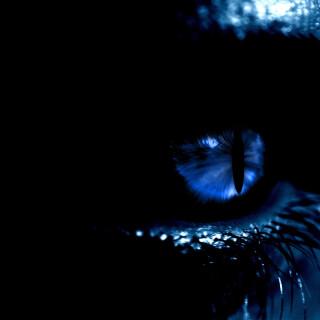 Eye_0020