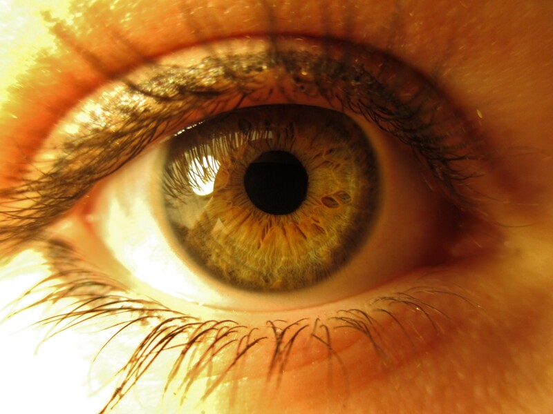Eye_0151.jpg