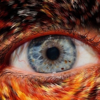 Eye_0165