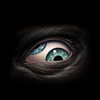 Eye_0195