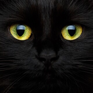 Eye_0301