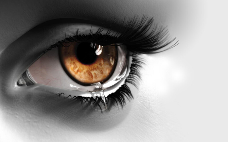 Eye_0312.jpg