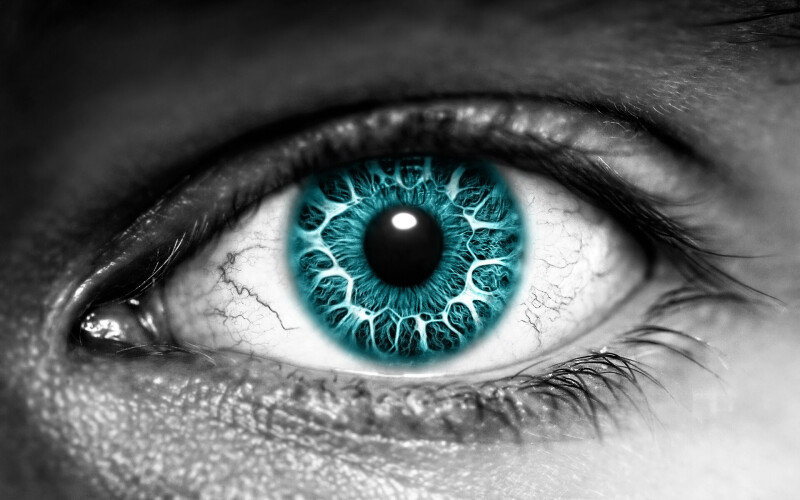 Eye_0326.jpg