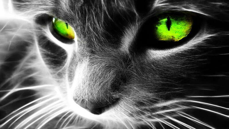 Eye_0363.jpg