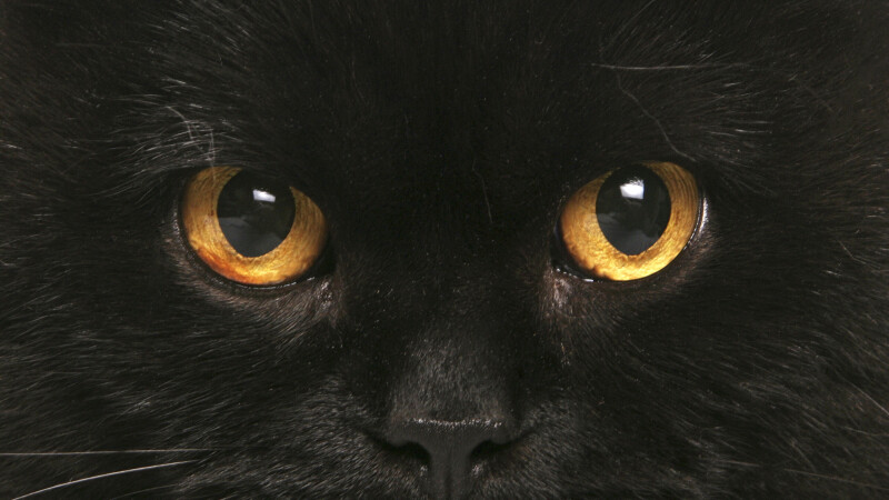 Eye_0405.jpg