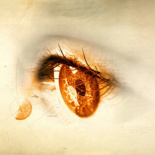 Eye_0475