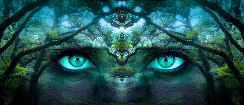 Eye_0585.jpg