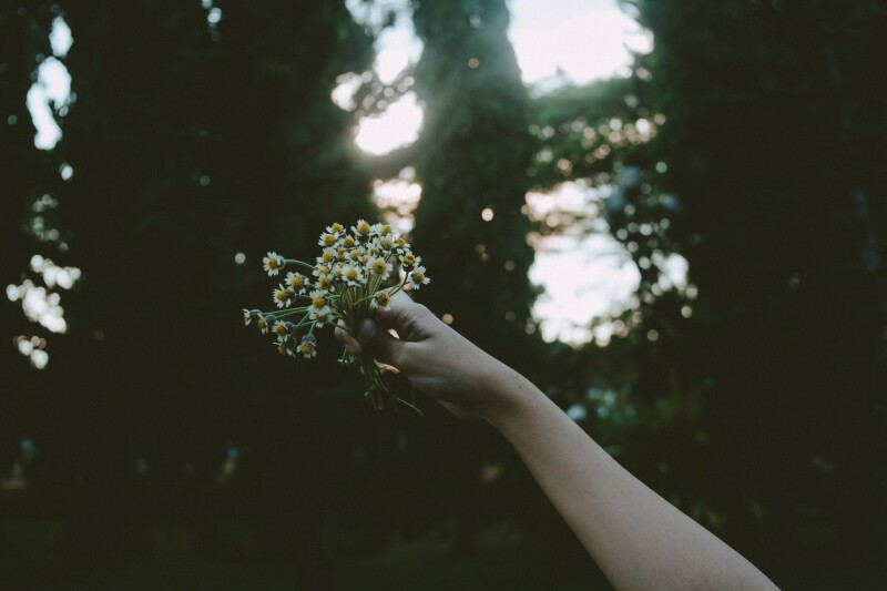 Hand_0088.jpg