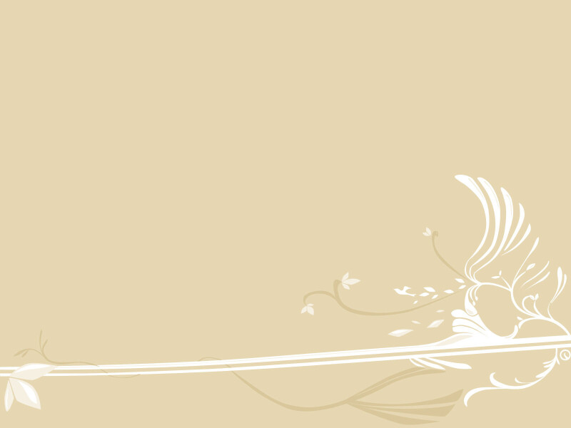 Vector_0183.jpg