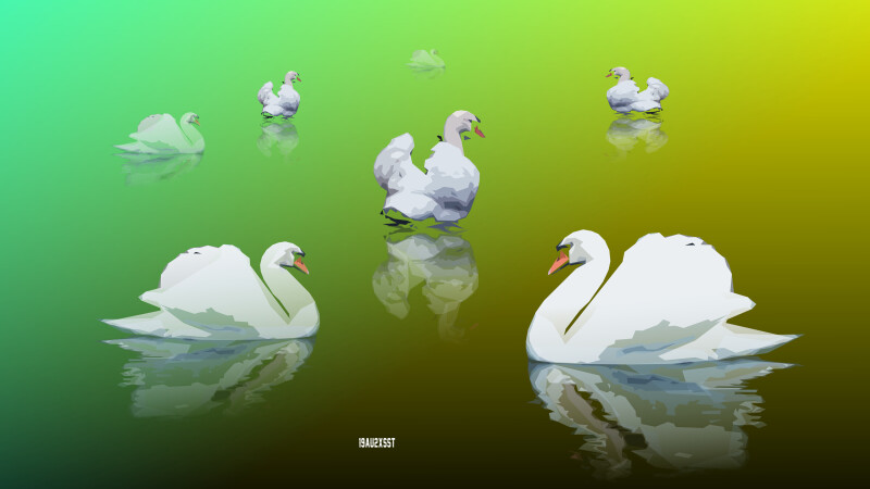 Vector_0465.jpg