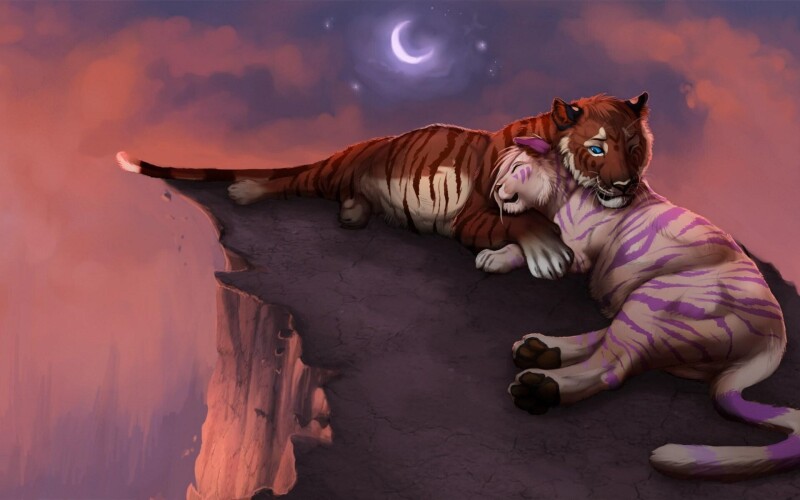 Couple 0091