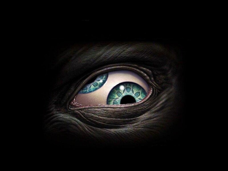 Eye_0195.jpg