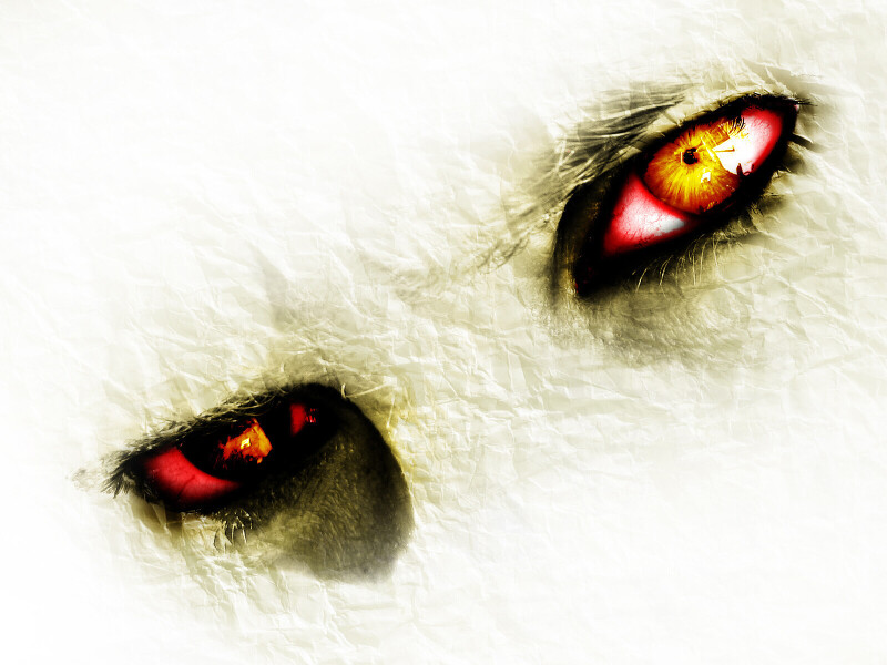 Eye_0231.jpg