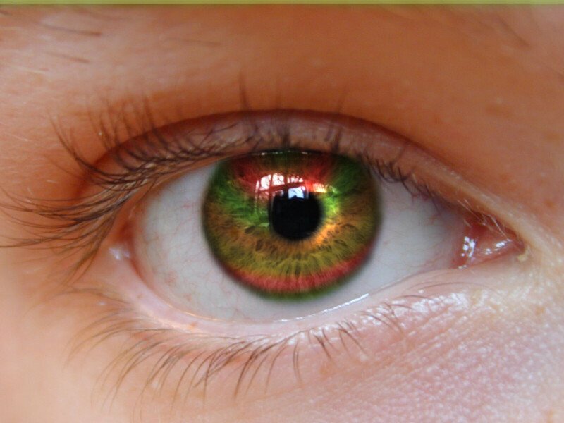 Eye_0251.jpg