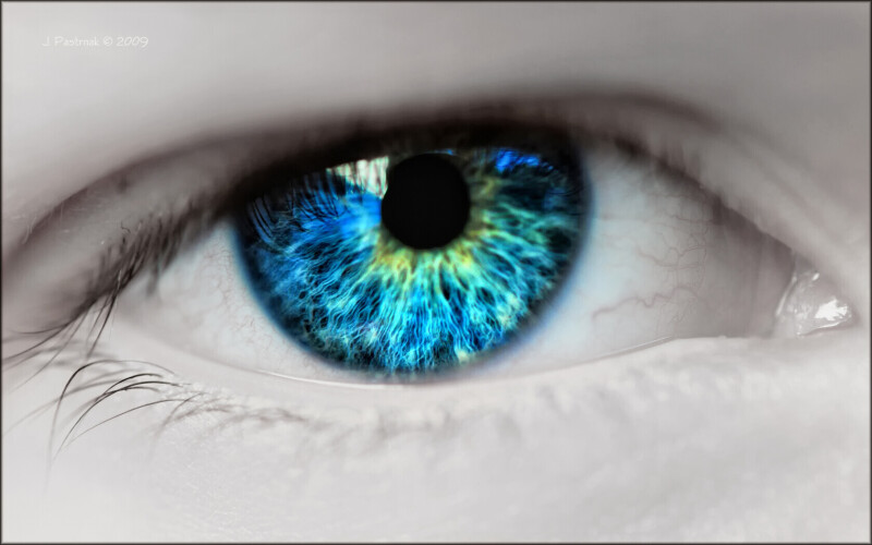 Eye_0256.jpg
