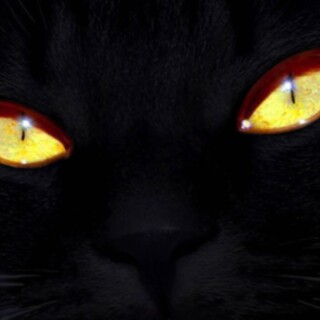 Eye_0338