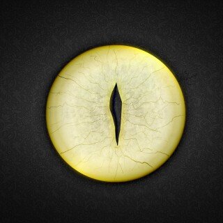 Eye_0339