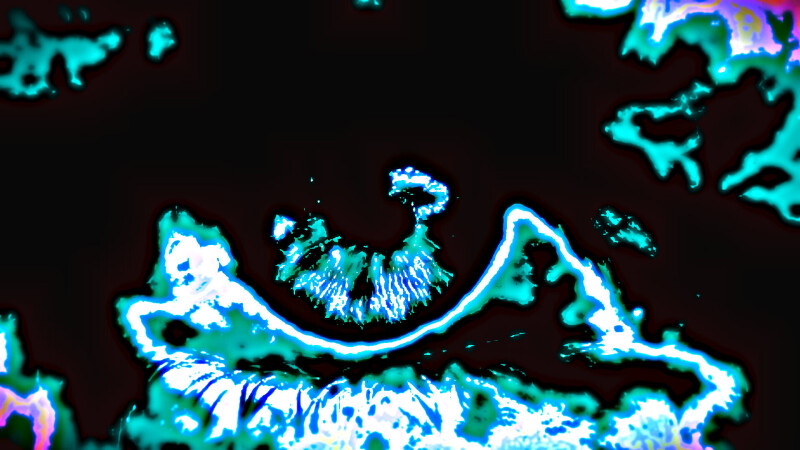 Eye_0440.jpg
