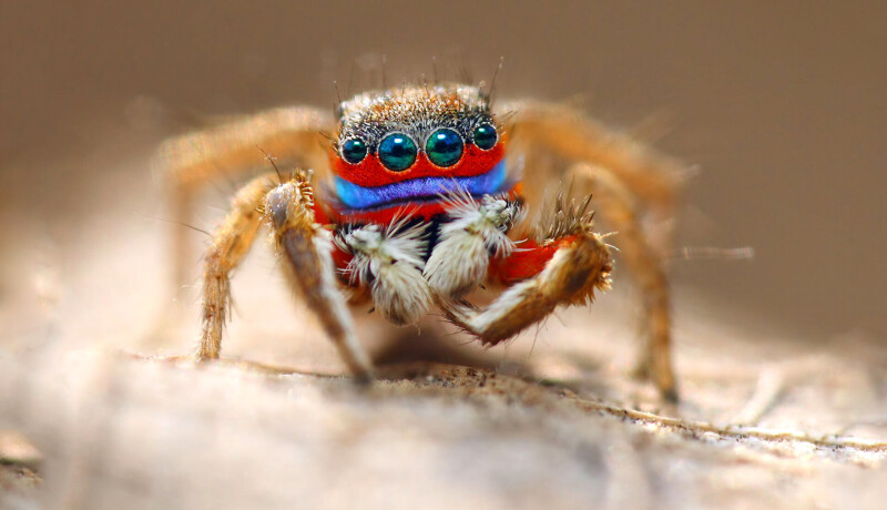 Eye_0507.jpg