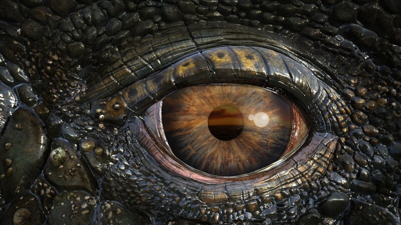 Eye_0555.jpg