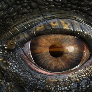 Eye_0555