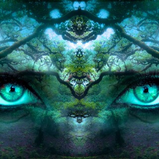 Eye_0585