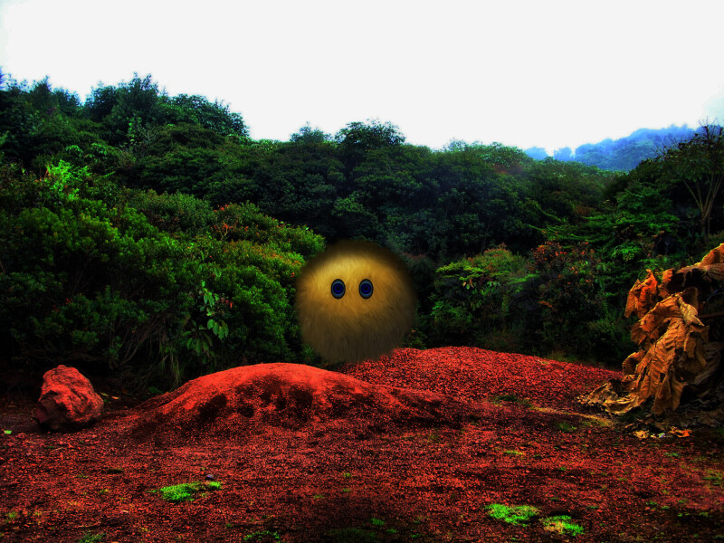 Eye_0610.jpg