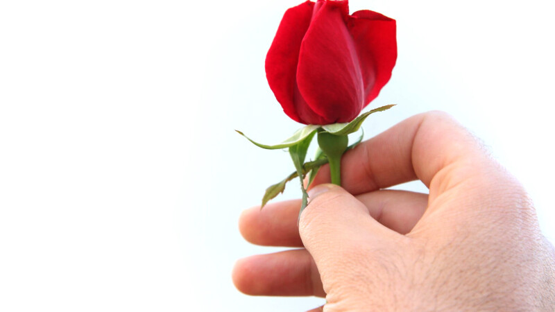 Hand_0015.jpg