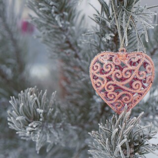 Heart_0561