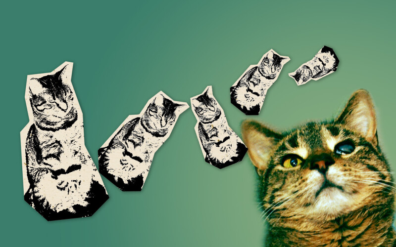 Illustration_0096.jpg