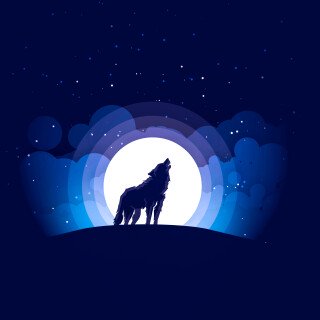 Illustration_0242