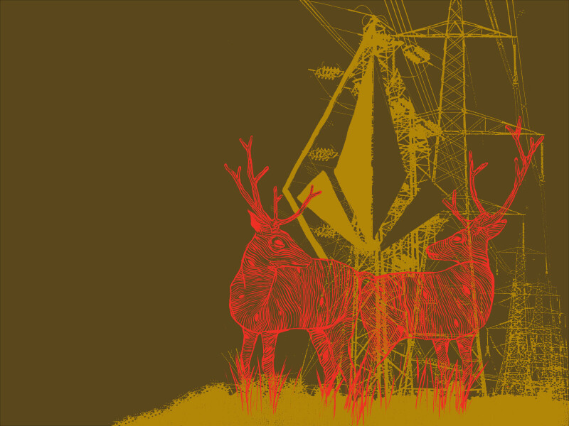 Vector_0246.jpg