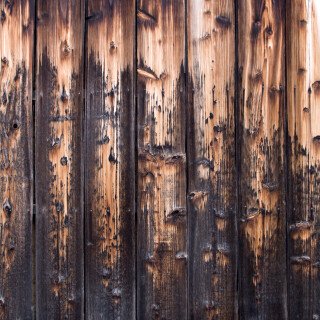 Wood_0080