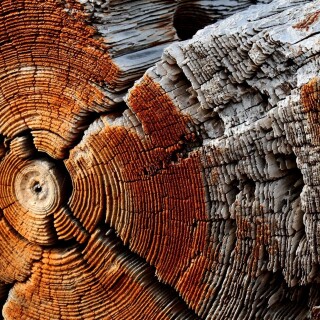 Wood_0161