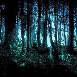 Wood_0370
