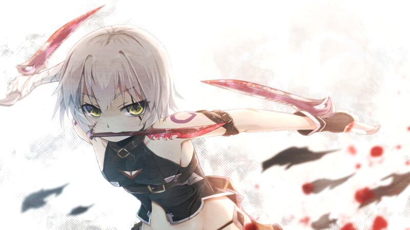 Fate_Grand-Order_0171.jpg