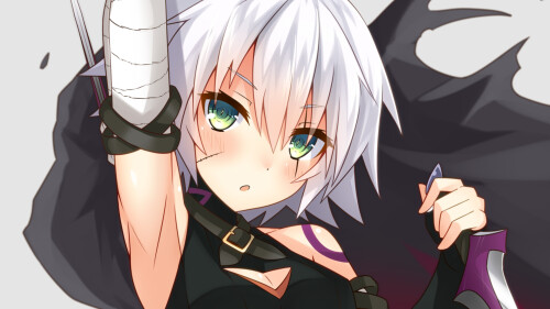 Fate_Grand-Order_0241.jpg